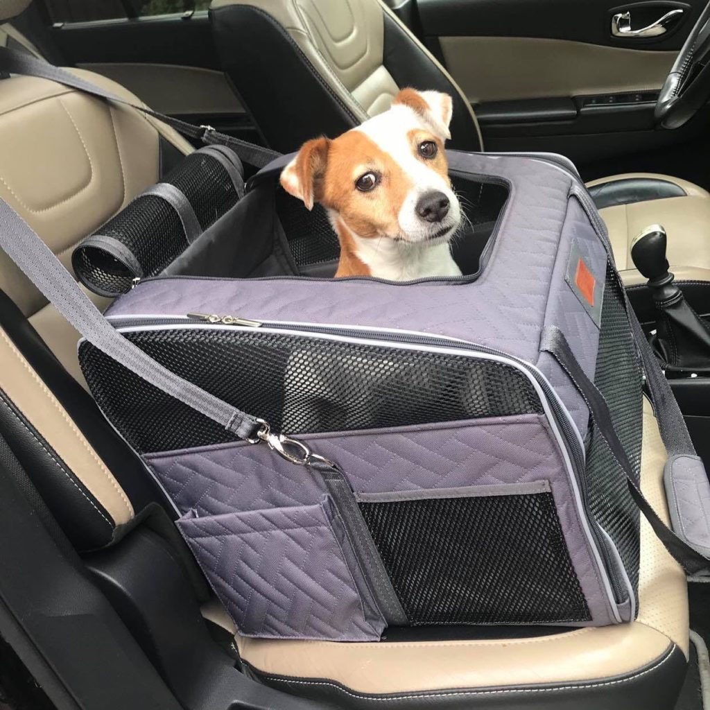 transporter dla psa w podróży